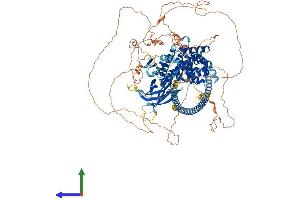 Protein Structure (PS) image for DAB2 Interacting Protein (DAB2IP) (AA 1-1189) protein (His tag) (ABIN7563715)