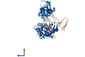 AlphaFold protein structure predicition of Human Recombinant GSDMC Protein, UniprotID Q9BYG8
