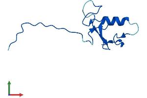 AlphaFold protein structure predicition of Mouse Recombinant Anapc11 Protein, UniprotID Q9CPX9