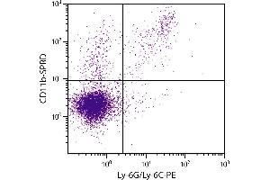 C57BL/6 mouse splenocytes were stained with Rat Anti-Mouse CD11b-SPRD. (CD11b antibody  (SPRD))