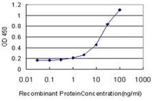 Detection limit for recombinant GST tagged GDF11 is approximately 1ng/ml as a capture antibody.