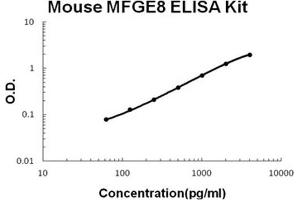 Mouse MFGE8/Lactadherin PicoKine ELISA Kit standard curve