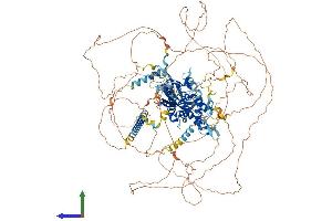 AlphaFold protein structure predicition of Human Recombinant REXO1 Protein, UniprotID Q8N1G1 (REXO1 Protein (AA 1-1221) (His tag))