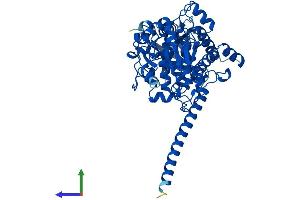 AlphaFold protein structure predicition of Mouse Recombinant Mtmr9 Protein, UniprotID Q9Z2D0