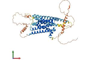 AlphaFold protein structure predicition of Human Recombinant DRD5 Protein, UniprotID P21918