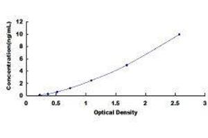 Retinoid X Receptor, gamma (RXRG) ELISA Kit