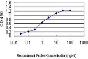 Detection limit for recombinant GST tagged PTBP1 is approximately 0. (PTBP1 antibody  (AA 45-144))