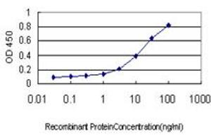 Detection limit for recombinant GST tagged RAB11A is approximately 1ng/ml as a capture antibody. (RAB11A antibody  (AA 1-216))
