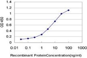Detection limit for recombinant GST tagged PPP3R1 is approximately 0. (PPP3R1 antibody  (AA 1-170))
