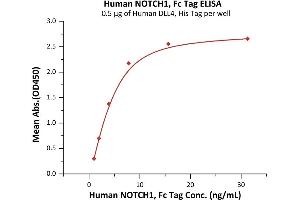 ELISA image for Notch 1 (NOTCH1) (AA 19-526) (Active) protein (Fc Tag) (ABIN7013576)