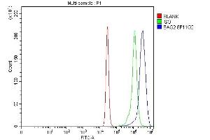 Flow Cytometry analysis of K562 cells using anti-BAG2 antibody (ABIN7599087). (BAG2 antibody  (AA 1-211))