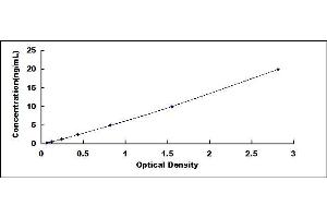 Typical standard curve (SRD5A1 ELISA Kit)