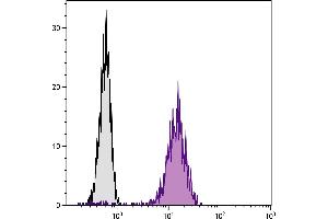 Chinese hamster ovary cell line CHO-K1 and BALB/cAnN mouse B lymphocyte cell line A20 were stained with Hamster Anti-Mouse CD81-BIOT. (CD81 antibody  (Biotin))