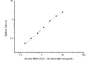 CXCL14 ELISA Kit