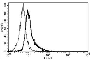 Flow Cytometry (FACS) image for anti-Interleukin 6 Signal Transducer (Gp130, Oncostatin M Receptor) (IL6ST) antibody (FITC) (ABIN1105854) (CD130/gp130 antibody  (FITC))