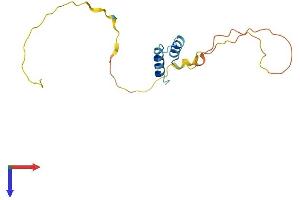AlphaFold protein structure predicition of Mouse Recombinant Chchd2 Protein, UniprotID Q9D1L0 (CHCHD2 Protein (AA 1-153) (His tag))
