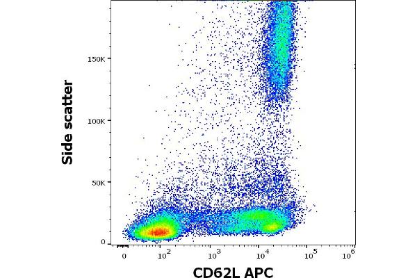 L-Selectin antibody  (APC)