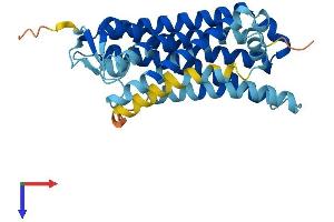 AlphaFold protein structure predicition of Human Recombinant OR6B2 Protein, UniprotID Q6IFH4 (OR6B2 Protein (AA 1-312) (His tag))