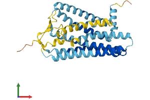 AlphaFold protein structure predicition of Human Recombinant OR2A7 Protein, UniprotID Q96R45 (OR2A7 Protein (AA 1-310) (His tag))