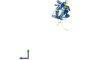 Protein Structure (PS) image for Neuropeptide Y Receptor Y2 (NPY2R) (AA 1-381) protein (His tag) (ABIN7549870)