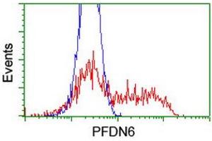 Image no. 6 for anti-Prefoldin Subunit 6 (PFDN6) (AA 2-129) antibody (ABIN1491113)