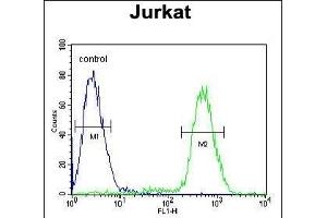 P1R3A Antibody (Center) (ABIN654633 and ABIN2844329) flow cytometric analysis of Jurkat cells (right histogram) compared to a negative control cell (left histogram). (PPP1R3A antibody  (AA 754-782))