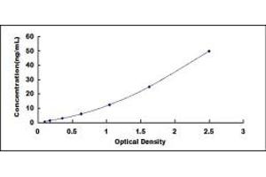 Typical standard curve (KMO ELISA Kit)