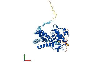 AlphaFold protein structure predicition of Mouse Recombinant Ccnd1 Protein, UniprotID P25322 (Cyclin D1 Protein (CCND1) (AA 1-295) (His tag))