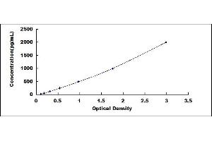 Typical standard curve (Caspase 1 ELISA Kit)