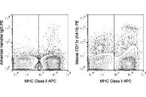 C57Bl/6 splenocytes were stained with APC Anti-Mouse MHC Class II (ABIN6961495) and 0. (CD11c antibody  (PE))