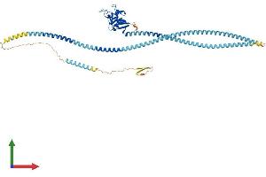 AlphaFold protein structure predicition of Mouse Recombinant Clec4f Protein, UniprotID P70194 (CLEC4F Protein (AA 1-548) (His tag))