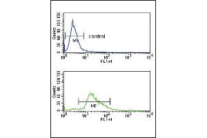 PLG Antibody (C-term) (ABIN391479 and ABIN2841449) flow cytometry analysis of K562 cells (bottom histogram) compared to a negative control cell (top histogram). (PLG antibody  (C-Term))