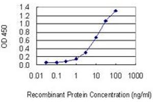 Detection limit for recombinant GST tagged DYRK3 is 0. (DYRK3 antibody  (AA 1-568))