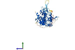 AlphaFold protein structure predicition of Mouse Recombinant Lmcd1 Protein, UniprotID Q8VEE1