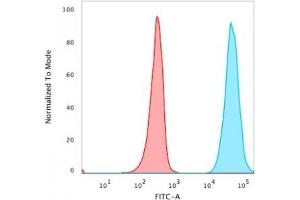 Flow Cytometric Analysis of PFA-fixed MCF-7 cells. (CD47 antibody)