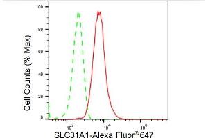 Flow cytometric analysis of SLC31A1 expression in HT- cells using SLC31A1 antibody (ABIN7800396), 1:2,000).