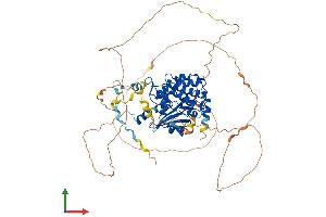 AlphaFold protein structure predicition of Human Recombinant PAK6 Protein, UniprotID Q9NQU5 (PAK6 Protein (AA 1-681) (His tag))