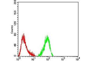 Flow cytometric analysis of Hela cells using MUC5B mouse mAb (green) and negative control (red). (MUC5B antibody  (AA 5630-5757))
