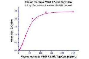 Immobilized  Human VEGF165 (Cat # VE5-H4210) at 2 μg/mL (100 μL/well) can bind Rhesus macaque VEGF R2, His Tag (Cat # VE2-C52H3) with a linear range of 4-60 ng/mL.