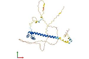 Protein Structure (PS) image for T-Cell Leukemia Homeobox 1 (TLX1) (AA 1-330) protein (His tag) (ABIN7544411)