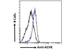ABIN185357 Flow cytometric analysis of paraformaldehyde fixed HeLa cells (blue line), permeabilized with 0. (Acetylcholinesterase antibody  (C-Term))