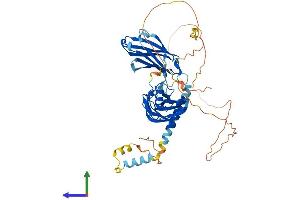 AlphaFold protein structure predicition of Human Recombinant SYT6 Protein, UniprotID Q5T7P8 (SYT6 Protein (AA 1-510) (His tag))