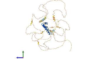 AlphaFold protein structure predicition of Mouse Recombinant Tcf7l1 Protein, UniprotID Q9Z1J1 (TCF7L1 Protein (AA 1-584) (His tag))