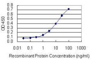 Detection limit for recombinant GST tagged SKIV2L is 0. (SKIV2L antibody  (AA 1125-1233))