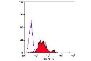 Staining of human peripheral blood lymphocytes with MOUSE ANTI HUMAN CD29:FITC (ABIN119207). (ITGB1 antibody  (FITC))