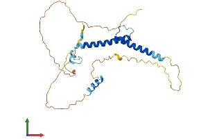 AlphaFold protein structure predicition of Human Recombinant MYF5 Protein, UniprotID P13349 (MYF5 Protein (AA 1-255) (His tag))