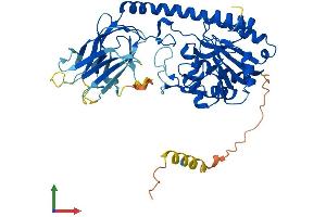 Protein Structure (PS) image for beta-1,3-N-Acetylgalactosaminyl Transferase 2 (B3GALNT2) (AA 1-500) protein (His tag) (ABIN7552628)