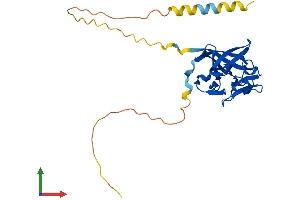 Protein Structure (PS) image for Fibroblast Growth Factor 13 (FGF13) (AA 1-245) protein (His tag) (ABIN7547569)