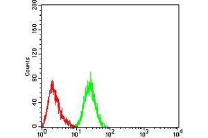 Flow cytometric analysis of Hela cells using DDX5 mouse mAb (green) and negative control (red). (DDX5 antibody  (AA 475-614))