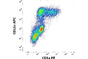 Flow cytometry multicolor surface staining of human stimulated (GM-CSF + IL-4) peripheral blood monocytes stained using anti-human CD1a (HI149) PE antibody (20 μL reagent per milion cells in 100 μL of cell suspension) and anti-human CD11c (BU15) APC antibody (10 μL reagent per milion cells in 100 μL of cell suspension). (CD1a antibody  (PE))
